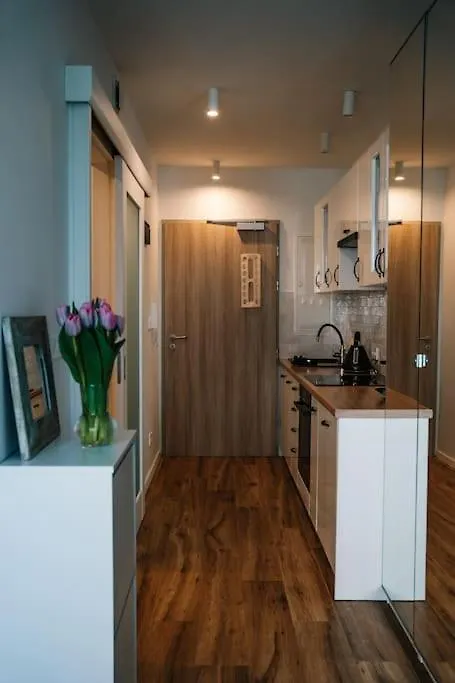 Cosy Studio In Krakow Apartment Poland