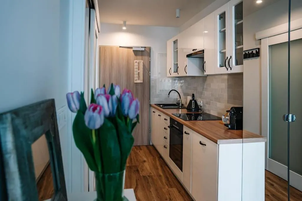 Cosy Studio In Krakow Apartment Poland