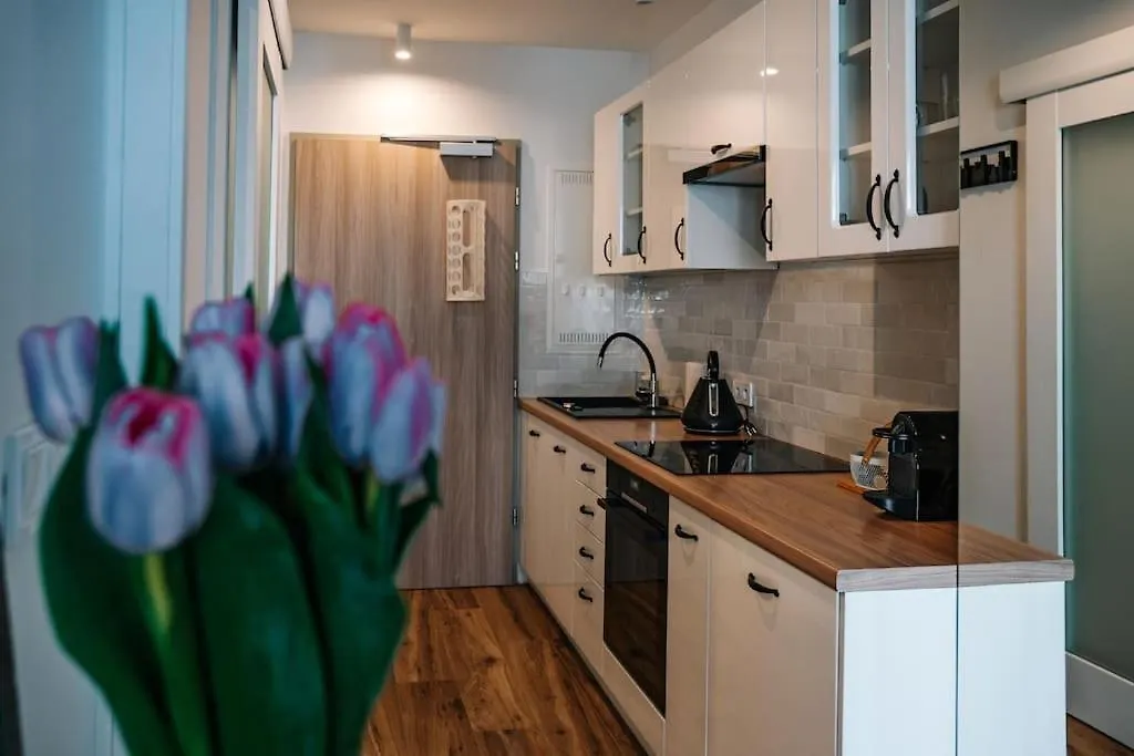 Cosy Studio In Krakow Apartment